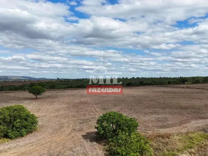 Chácara 13 alqueires (62,92 hectares) Morrinhos - Go
