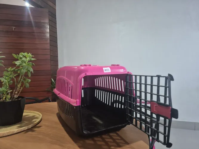 Casa para cachorro 