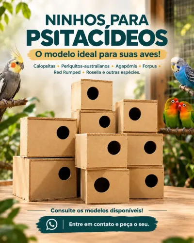 Ninhos para Calopsitas