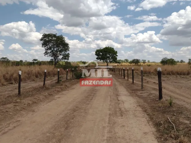 Fazenda 61 Alqueires (295,24 Hectares) Iaciara - GO