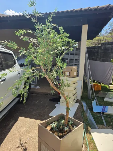 Bambu mosso artificial