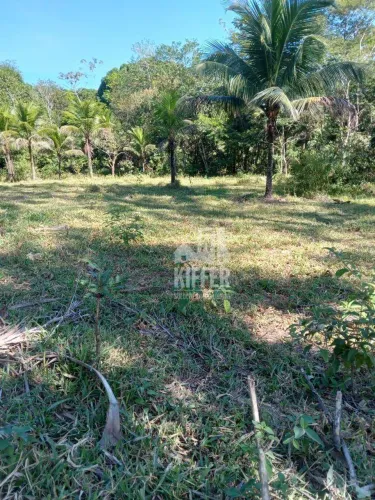 Excelente Área Rural à Venda Próxima ao Gaslub 7,7 Hectares Planos