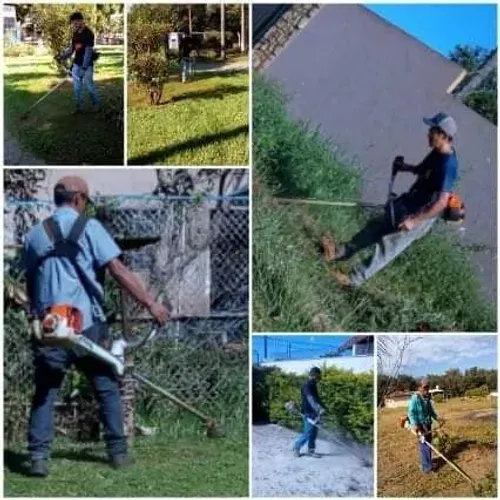 Jardinagem e manutenção