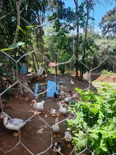 Última oportunidade terreno em condomínio sítio 4km da praia Imbassai e praia do forte