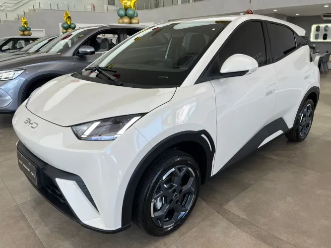 BYD Dolphin Mini (Elétrico) 2027