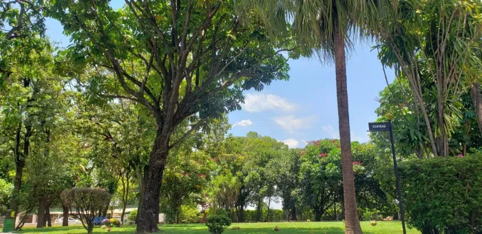 Vendo Jazigo Parque das Primaveras