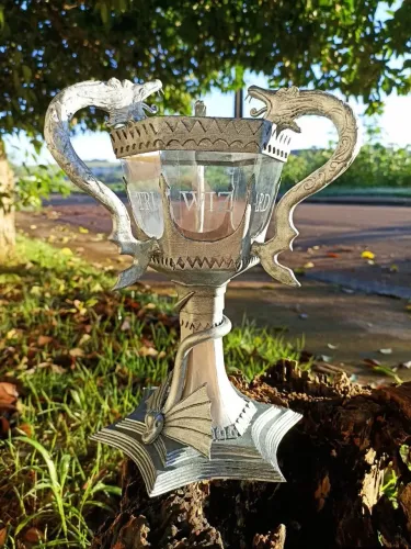 Taça Tribruxo Harry Potter Cálice de Fogo D.I.Y.