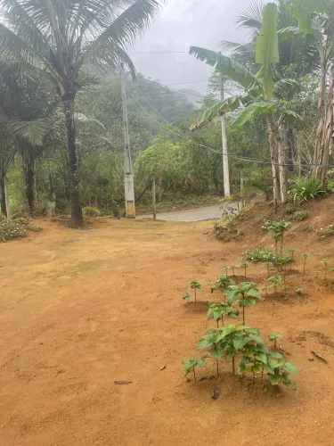 Vendo terreno em peixe verde Viana