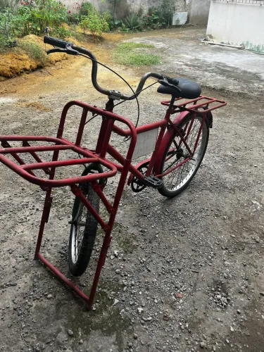 Bicicleta cargueira 
