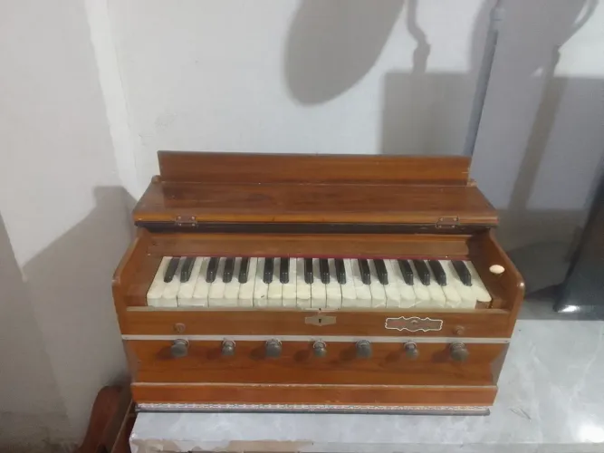 Harmonium bina delux