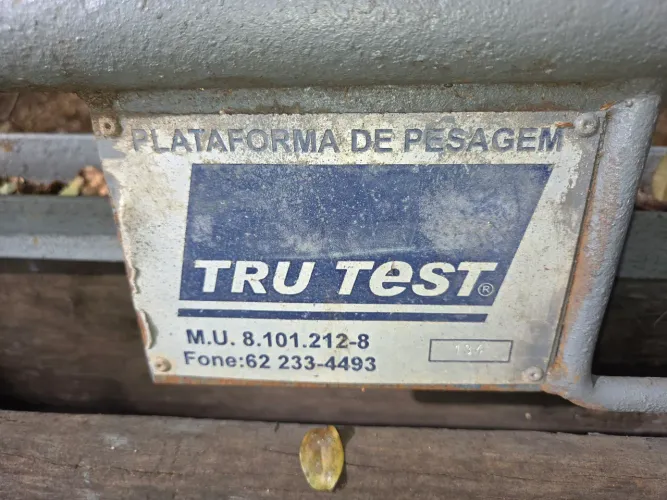 Balança gado.