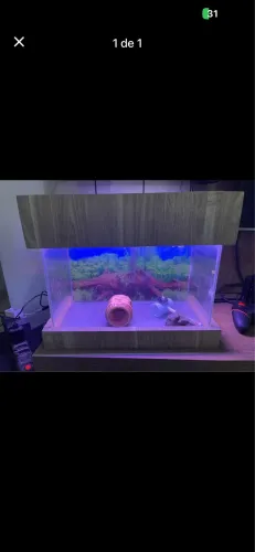 Aquario para peixe pequeno