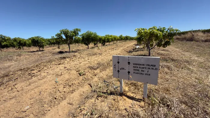 Lote agrícola