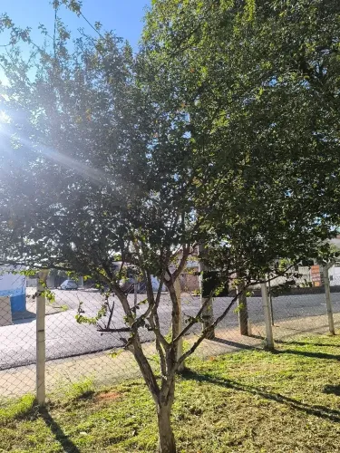 Jardineiro Vaga