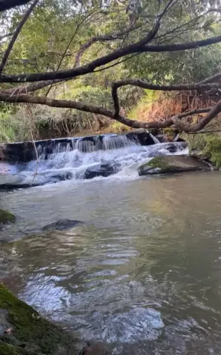 sitio, chacara , fazenda municipio de Anicuns, 11, 5 alqueires