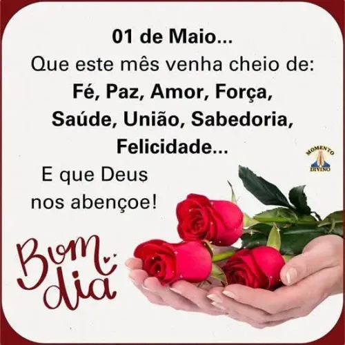 Cadeira de banho 120 reais *86