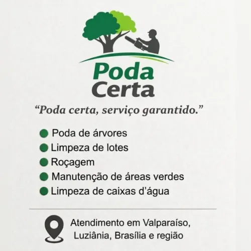Serviços de podas em geral