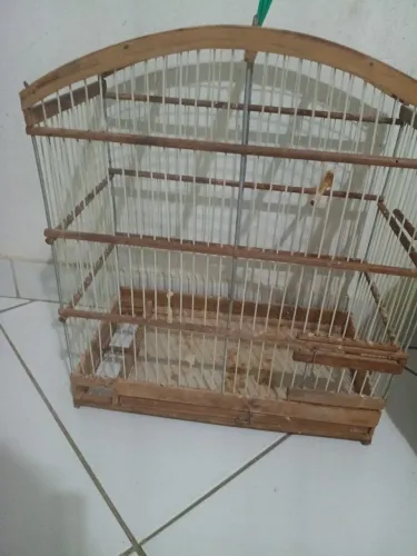 Gaiola