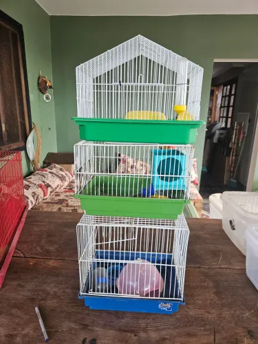 3 Gaiolas pequena para hamster