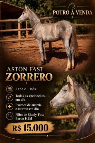 Potro a venda