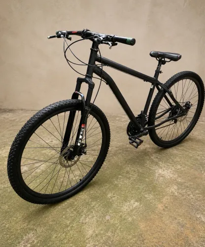Bike aro 29