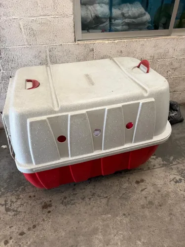 ? Casinha de Transporte Pet Grande - Ótimo Estado