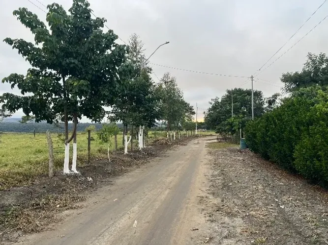 Chácara 1.000 m2 - 15 km do centro de Conquista