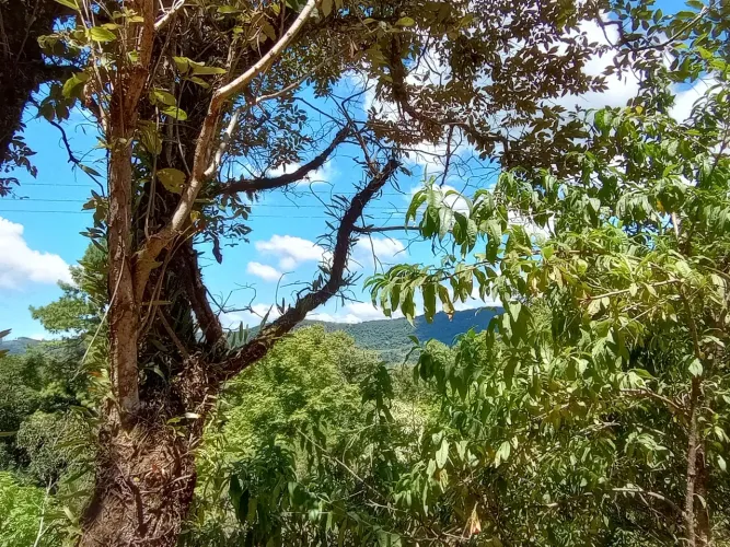 Barbada Vendo Chácara .