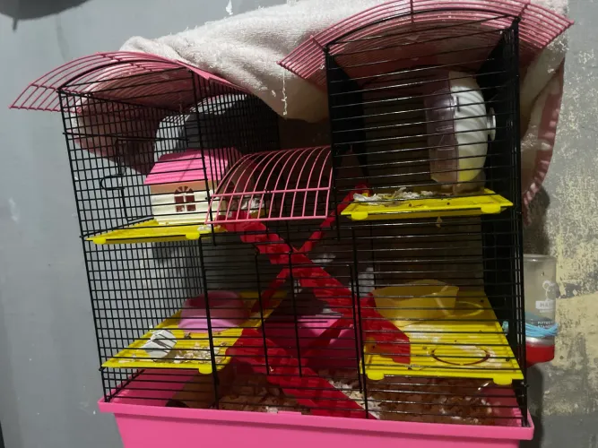 VENDE-SE GAIOLA PARA HAMSTER