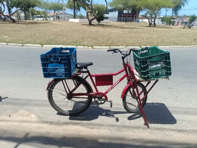 Bicicleta cargueira