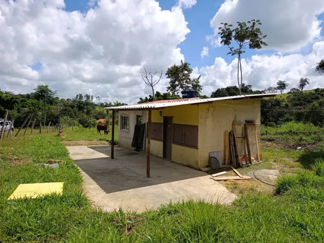 Piedade dos gerais