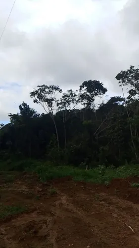 4 e quitaria e meia
