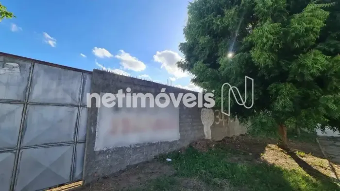 Venda Lote-Área-Terreno Mangabeira Feira de Santana