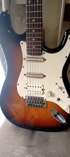 Guitarra Stratocaster shelter