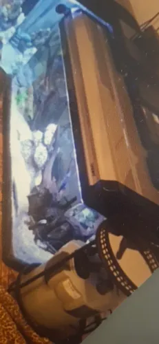 Aquário BOYU grande. Com filtro e todos os itens necessários. Lâmpadas etc...termostato...