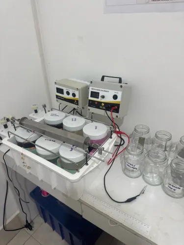 Mini Galvanica 1 L