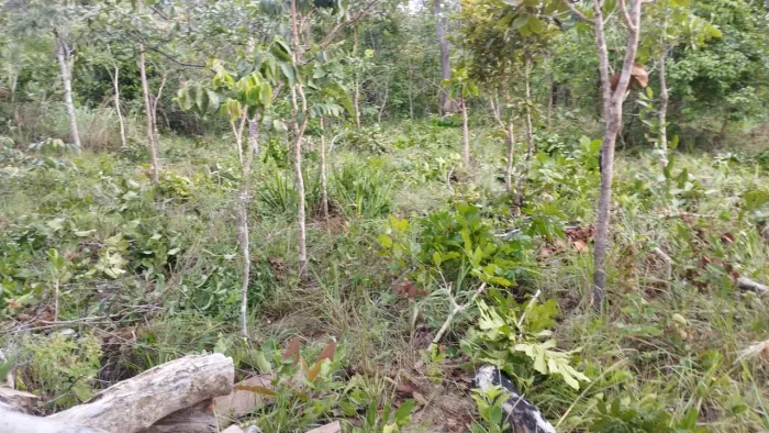 Terreno na Chapada dos Veadeiros em condomínio fechado com 1.000 m²