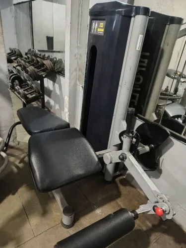 Mesa flexora