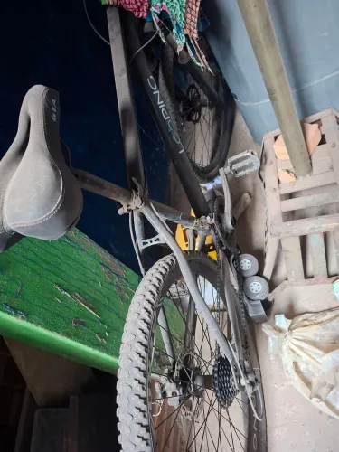 Bicicleta 29
