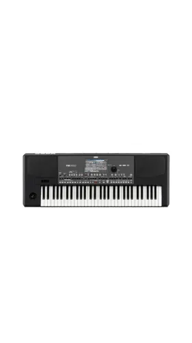 Teclado Arranjador Korg PA600 61 Teclas Preto com 950 Sons e Tela Touch