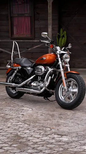HD Sportster XL 1200C - 15/15