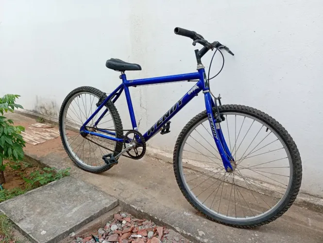 Bicicleta aro 29
