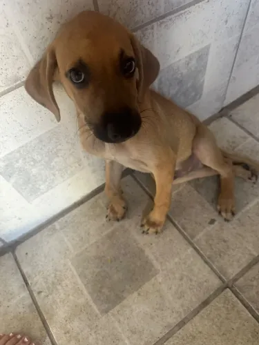 Doação 2 meses