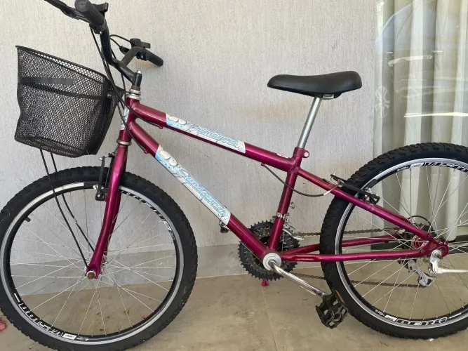 Bicicleta