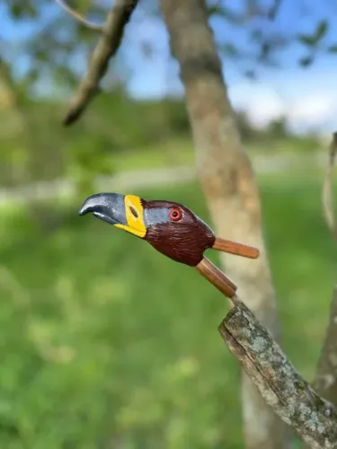 Kuripe Personalizado Animal de Poder - Águia