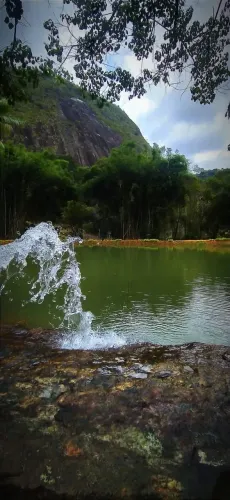 Terreno à venda em Santa Leopoldina, Centro, com 20000 m²