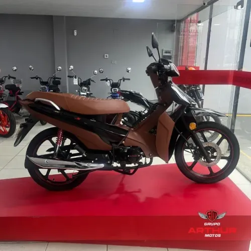 Shineray Phoenix EFI S  2025 (0KM/Pronta entrega), Financiamos até 48x e parcelamos no car