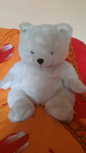 Ursinho lindo