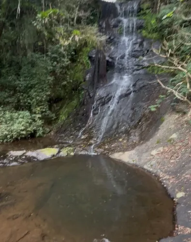 Sitio em Riozinho 31Ha