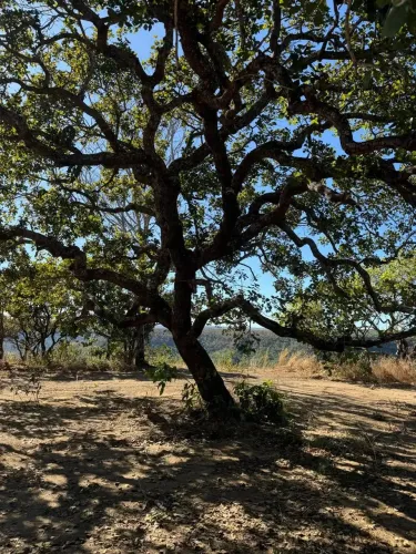 Hotel/Motel/Pousada para venda com 3949 metros quadrados com 1 quarto